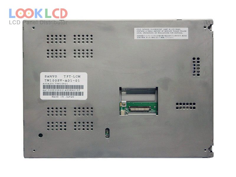 TM100SV-A01-01